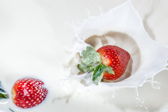 Erdbeere eingetaucht in Milch