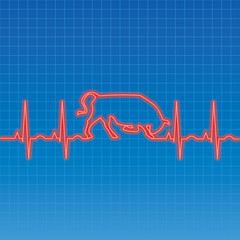 EKG bull heartbeat pattern