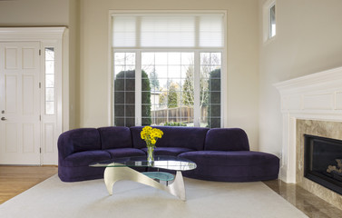 Large Modern Living Room