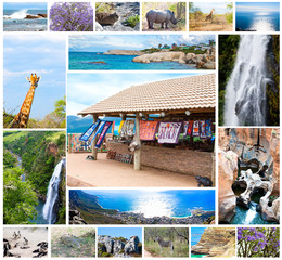 wild animals collage, fauna in South Africa, adventure, travel