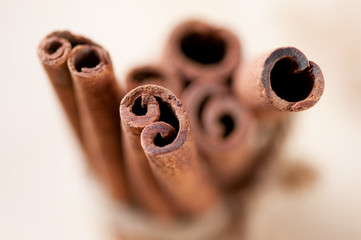 Obraz na płótnie Canvas Horizontal shot of cinnamon sticks, shallow depth of field