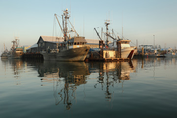 Morning Reflection, Steveston Harbor