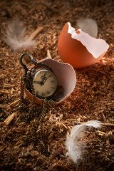 Small vintage clock in broken egg