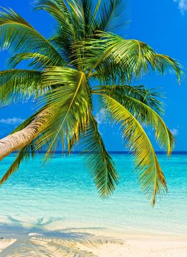 Tropical beach