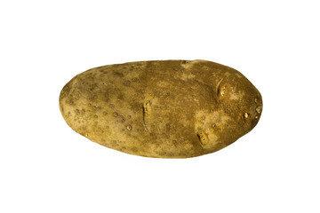 Potato on white background
