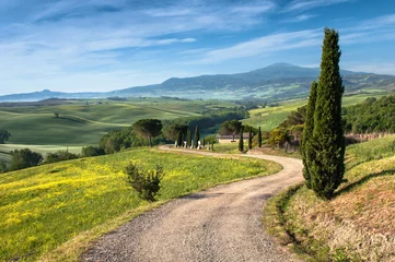 Fotobehang Tuscany - Italy © pershing