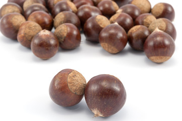 Chestnut