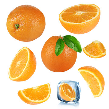 Oranges collection over white background