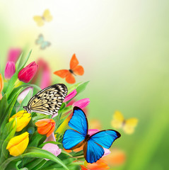 Beautiful floral background