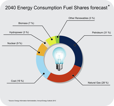 Energy consumption fuel shares forecast  in 2040