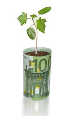 Fototapeta na wymiar Drzewko rosnące w euro rachunku