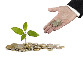 Sapling in hand