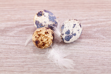 Obraz premium Traditionelle Oster Dekoration mit Wachtel Eiern und Federn auf