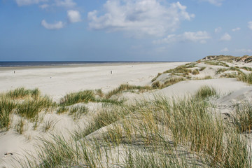 Sand dunes at the coast of the Netherlands