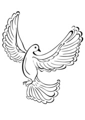 Flying dove