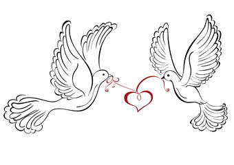 Two love dove with heart shaped