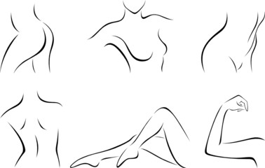 Set of stylized body parts