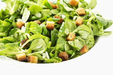 Feldsalat