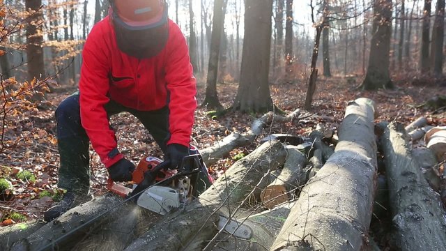 Dynamischer Motors&auml;genschnitt