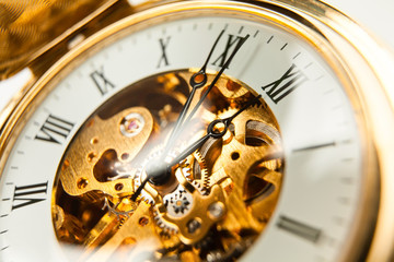 watch pocket