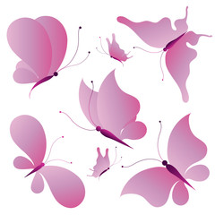 butterfly,butterflies vector
