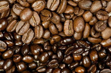 Coffee beans