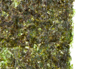 Green algae nori