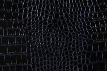 Texture of a crocodile leather