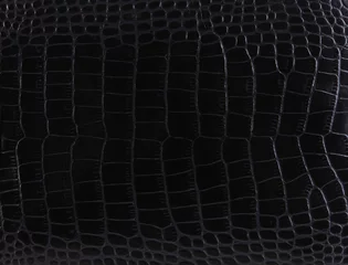 Foto op Canvas Textuur van een krokodillenleer © Maxim Striganov