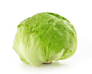 Green Iceberg Alcapucci on White Background © Mara Zemgaliete