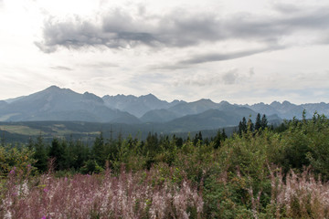 Tatry mountains © Wolszczak