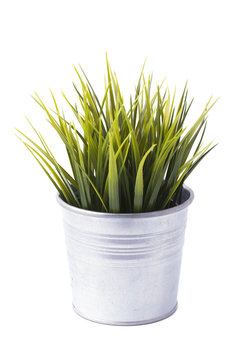 isolated flower pot with grass