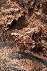 Kakao und Brownies