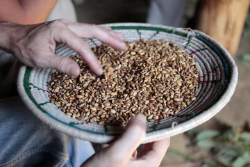 Türaufkleber grano , etiopia © ruticar