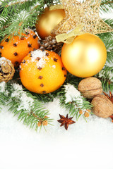 christmas composition with oranges and fir tree, isolated