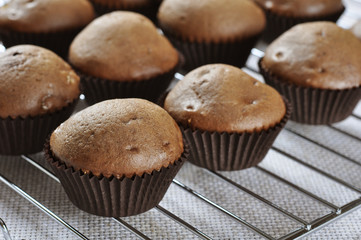 Chocolate cupcakes