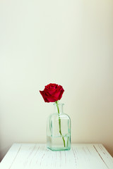 Red rose in bottle on white wooden table