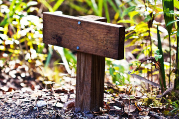Wood