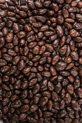 chocolate covered sunflower seeds