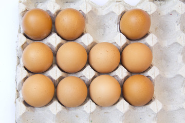 Closeup of many fresh brown eggs in carton tray