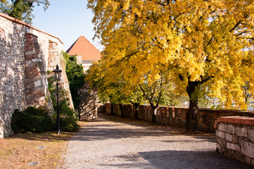 Bratislava Castle road