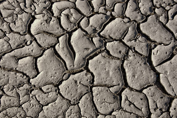 Cracked earth