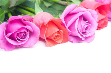 Closeup on roses