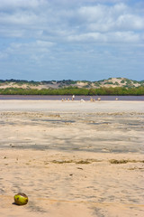 Spiaggia del Kenya