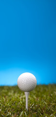 Golf ball on green grass over a blue background 