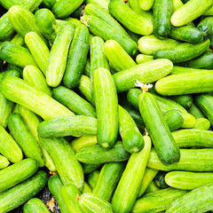 Pile of cucumbers at the local market.