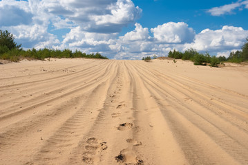 Fototapeta na wymiar pustynia piaszczysta i pochmurne niebo