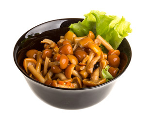 agaric honey at plate