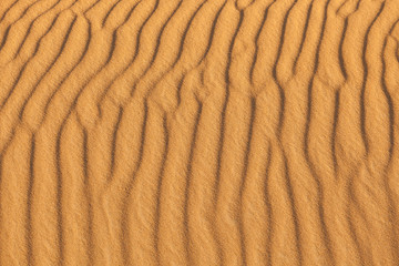 Sand waves of the beach at sunset