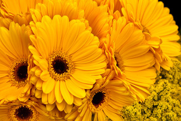 Beautiful bouquet of yellow gerberas.